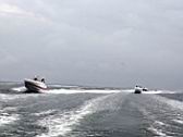 2012 Horn Island Saturday (55).JPG